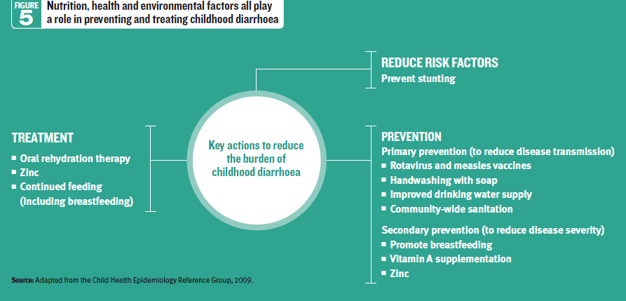 Figure 5 - Nutrition, health and environmental factors all play a role in preventing and treating childhood diarrhoea